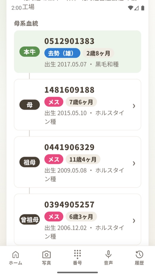 母牛の個体識別番号から血統をたどっている画面